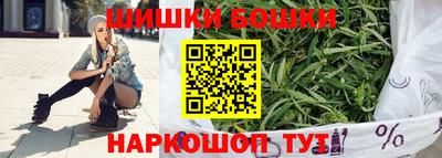 индика Тверь