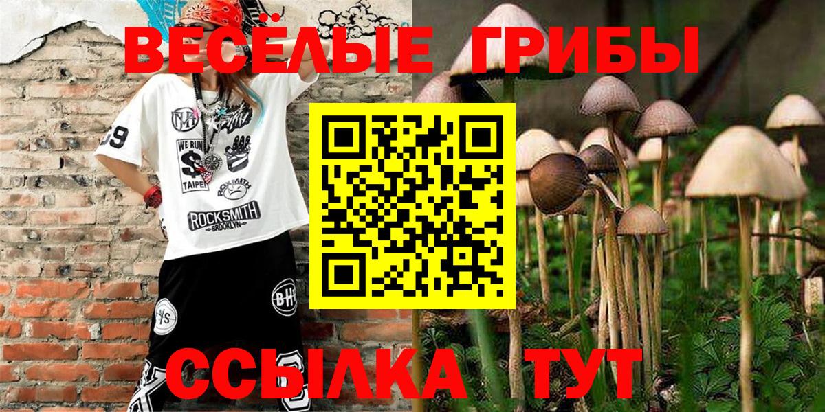 Галлюциногенные грибы GOLDEN TEACHER  Вход с VPN  Галлюциногенные грибы Magic Shrooms  Подольск 